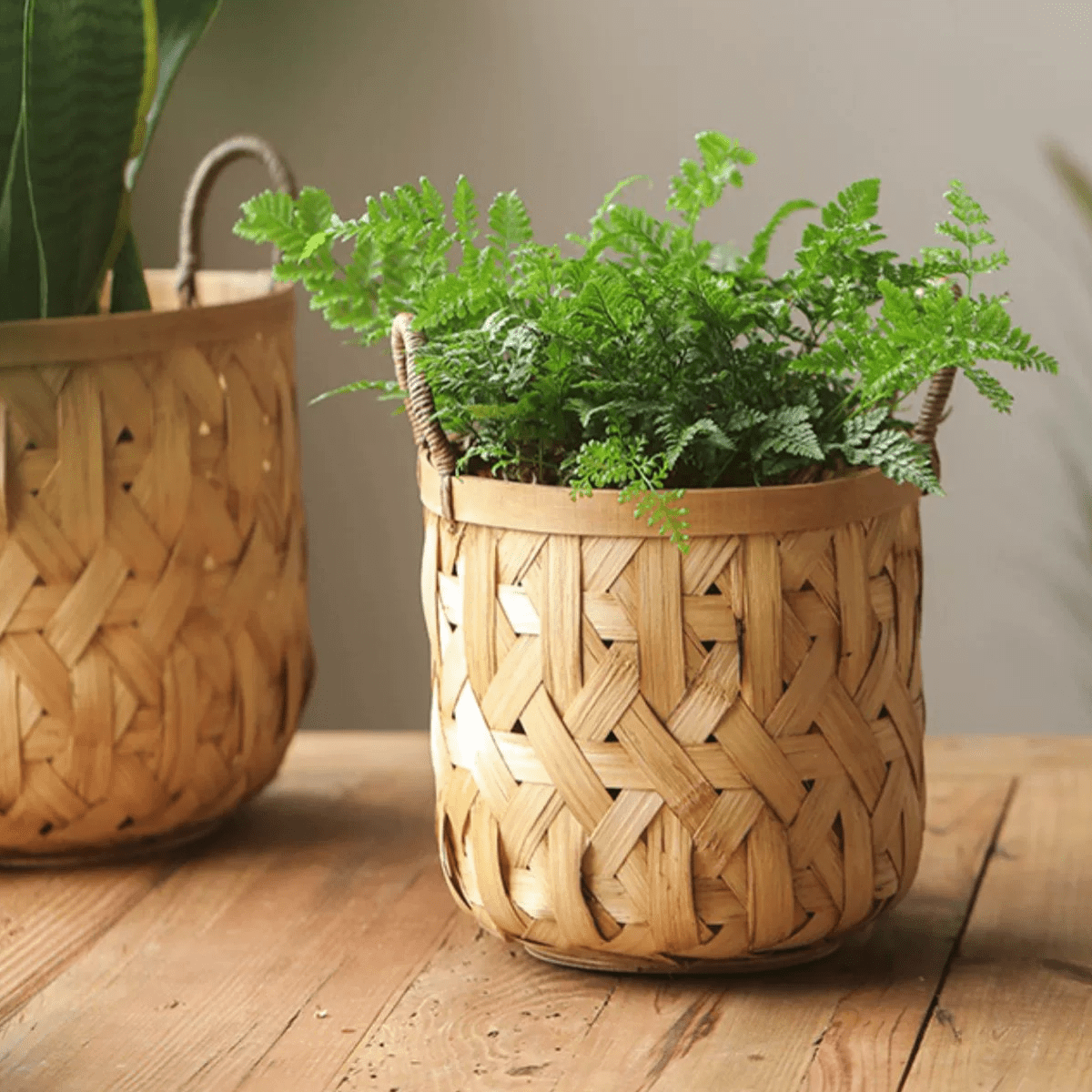 Bamboo Woven Basket